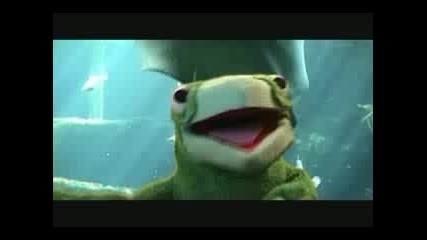 Neil Hannon - So Long and Thanks for all the Fish [guest @ Stan Mcgavin Show]