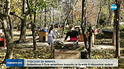 Доброволци изработваха къщички за кучета в Русе