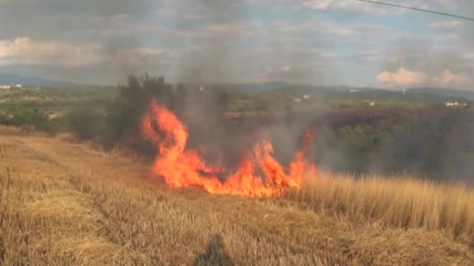 Пожар обхвана лозя край Благоевград