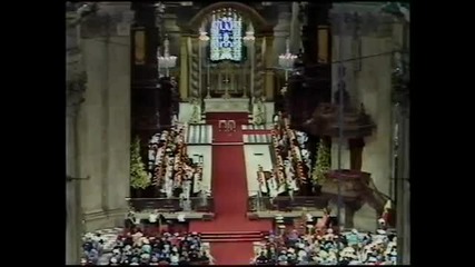 Royal Wedding Ceremony of Charles Diana (7 8)