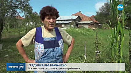 Новините на NOVA (03.08.2019 - централна емисия)