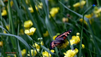Secret Garden - Silent Wings