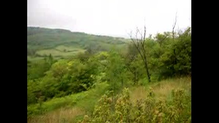 Тренирaне Усърдно на Гончетата