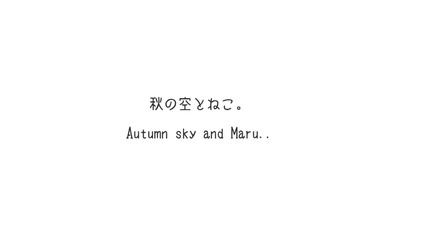 Котето Мару и есенното небе .. Сладур ..
