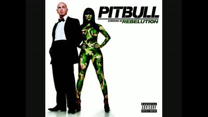 Pitbull ft. Akon - Shut It Down [september 2009]