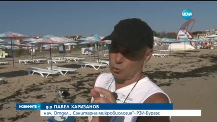 Взеха нови проби от плажа в Лозенец