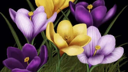 Честита пролет 2014! Happy Spring! Vive le printemps!