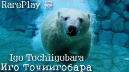 Смешна Продукция # 2