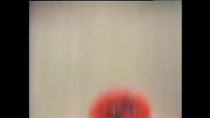 Fat Cat (1973) 