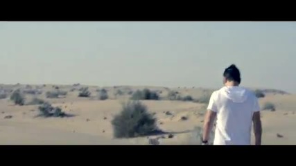 Aligator - Starting Over