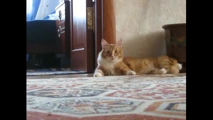 изнася се на пръсти ..;)