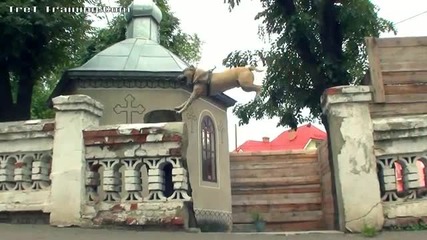 Tret-training (parkour Dog From Ukraine)