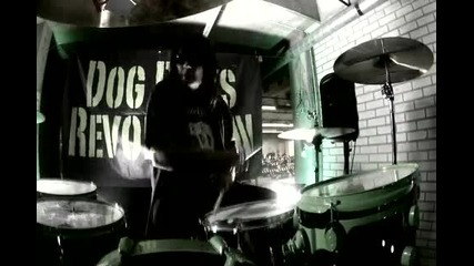 Dog Days Revolution - Rock Me Honey