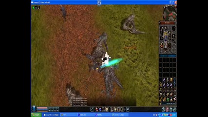 Metin2 Kick hack 