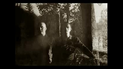 Novalis Deux · Put On Your Shoes 