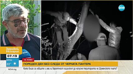 В търсене на Шуменската пантера