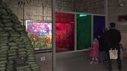 Korean DMZ: Artists transform former DMZ military base into interactive art exhibition