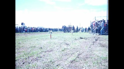 Kon Anfibia