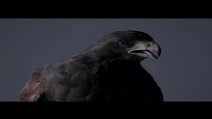 Grafa feat. Jahmmi - Causa Perduta - [official Hd Video]