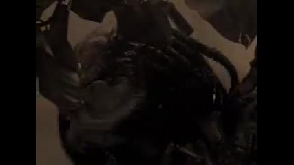 Predator - Godsmack - Straight Out Of Line
