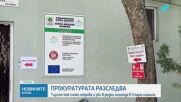 Каква отрова погуби лешоядите, завърнали се у нас след десетилетия усилия на природозащитници
