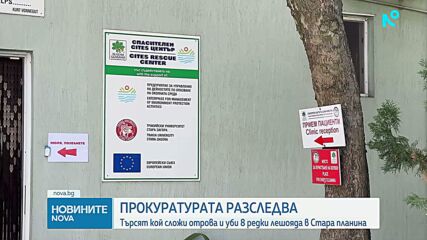 Каква отрова погуби лешоядите, завърнали се у нас след десетилетия усилия на природозащитници