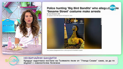 Необичайни бандити - крадци задигнаха костюм на Пилето от "Улица Сезам" - На кафе (26.04.2021)