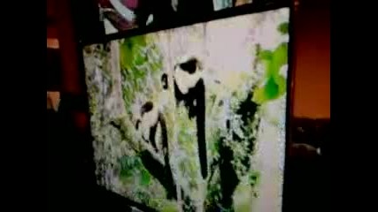 Predstavqne na nainovite tehnoligi , Tv led ekrani ot Lg 