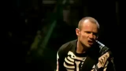 Red Hot Chili Peppers - Parallel Universe (live)