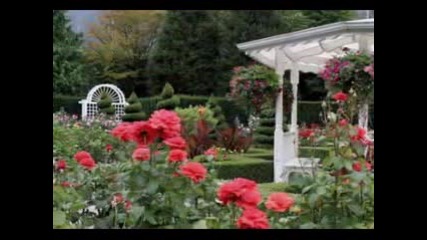 Ernesto Cortazar - Music In Nature
