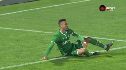 Лудогорец - Ботев Пд 3:0 /репортаж/