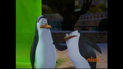 The Penguins of Madagascar - Jiggles