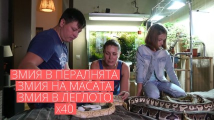 Това семейство живее с 40 змии