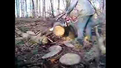 Stihl 361 Muffler Mod