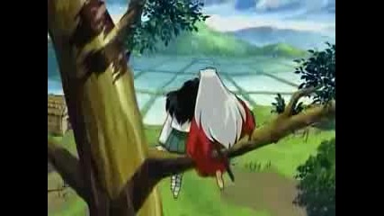 Anime Young Forever