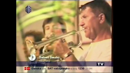 Saban Saulic-gordana