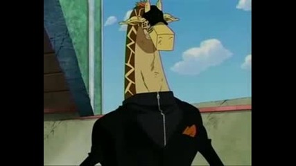 One Piece Zorovskaku amv