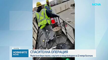 Спасиха малко куче, блокирано на висока 12 метра жп платформа