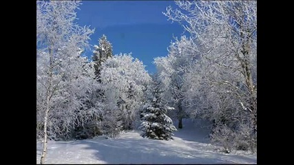 Аз Съм Българче и Знамето ни е трицветно 