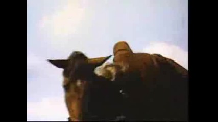 Гардемарини - Напред