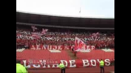Crvena Zvezda - Delije Sever