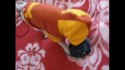 barry playing around in my room 2