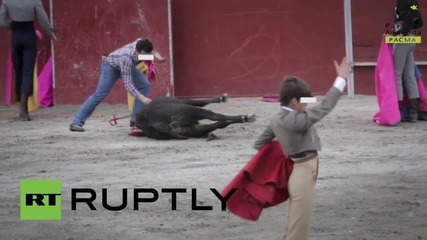 Spain: Madrid withdraws municipal funding for bull-fighting school