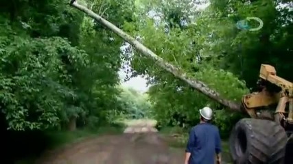 Swamp Loggers- Tree Down-1