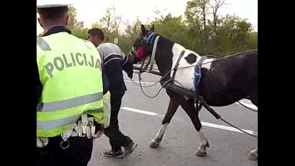 Полицай гони пиян каруцар-смях