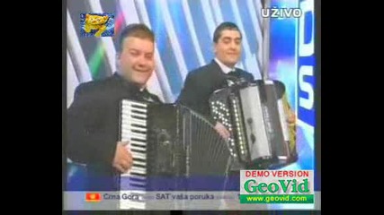 Драгана Миркович - На Живо
