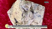 Варна отбелязва своя празник с богата програма от културни събития