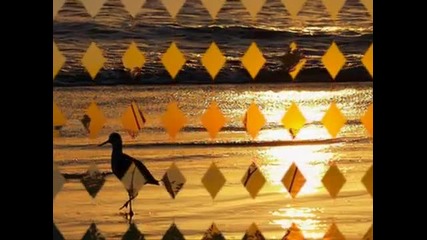John Sokoloff - Loyola Sunset 