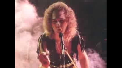 white wolf - shadows in the night 