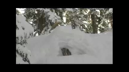 Snowboard Mt Baker